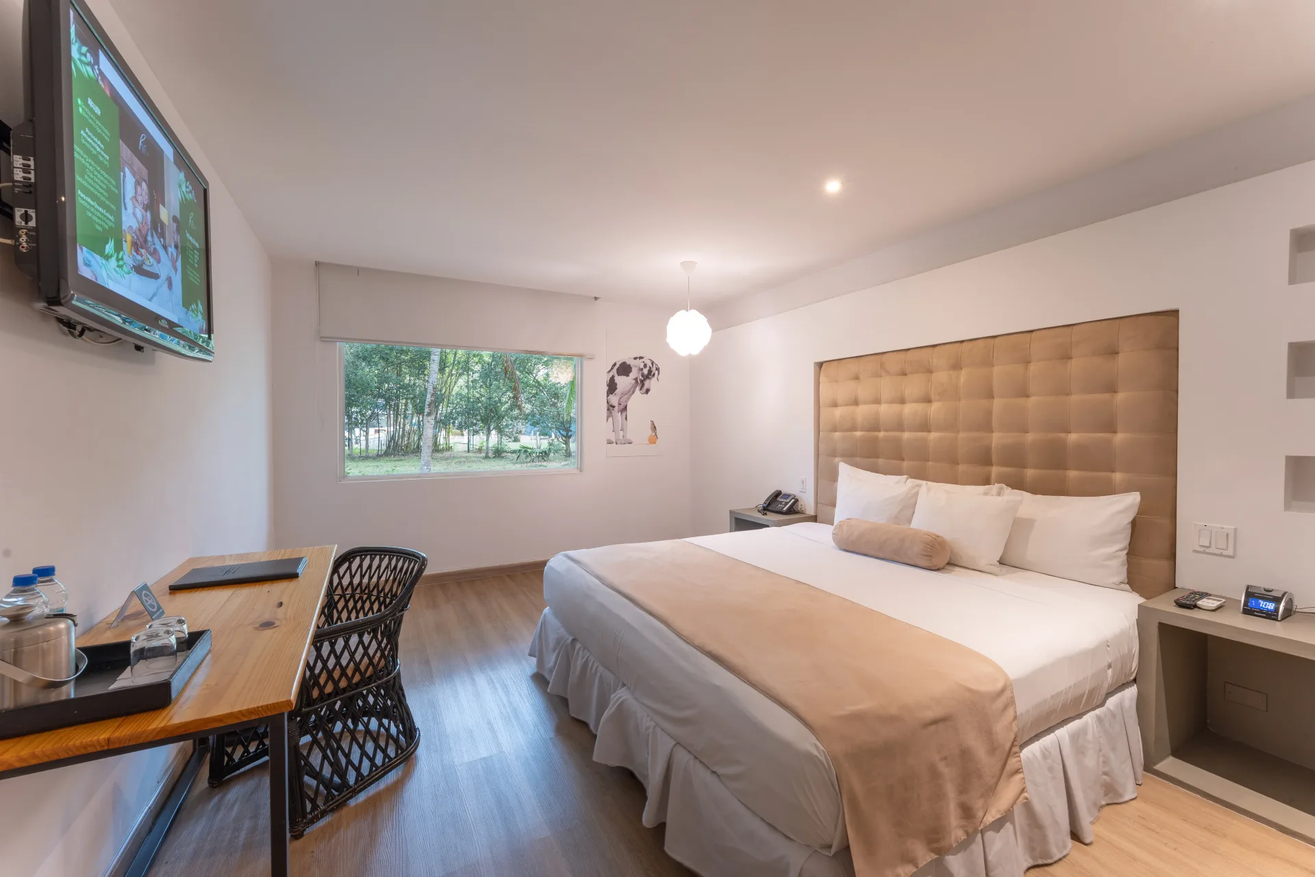 Estándar  1 cama King