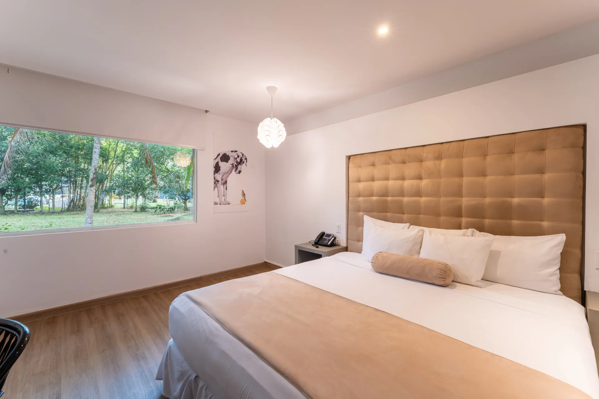 Estándar  1 cama King
